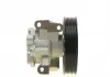 Насос ГУР SOLGY 207066 (фото 3)