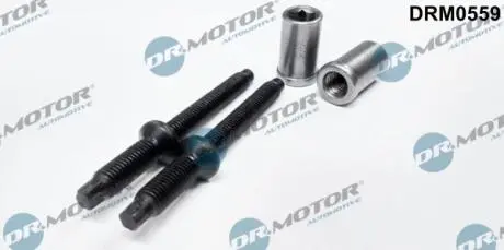 Комплект болтів двигуна з фігурною головкою DR MOTOR DRM0559