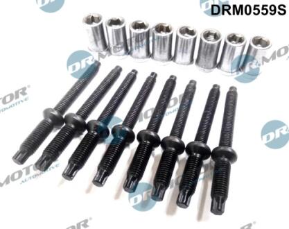 Комплект болтів двигуна з фігурною головкою DR MOTOR DRM0559S