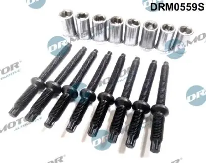 Комплект болтів двигуна з фігурною головкою DR MOTOR DRM0559S (фото 1)