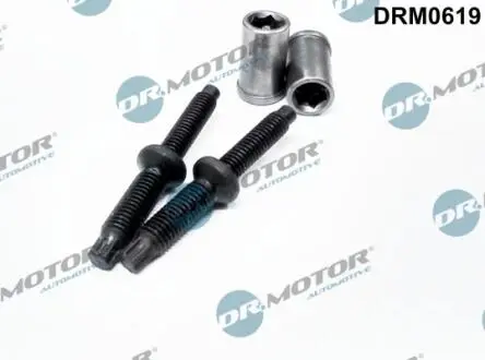 Комплект болтов двигателя с фигурной головкой DR MOTOR DRM0619