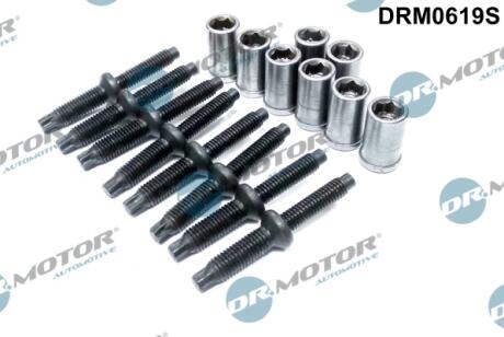 Комплект болтів двигуна з фігурною головкою DR MOTOR DRM0619S