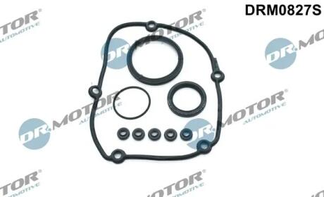 Комплект прокладок из разных материалов DR MOTOR DRM0827S