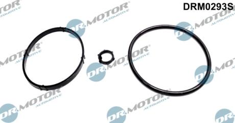 Комплект прокладок з різних матеріалів DR MOTOR DRM0293S