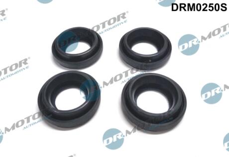 Комплект прокладок гумових DR MOTOR DRM0250S
