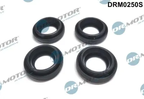Комплект резиновых прокладок. DR MOTOR DRM0250S