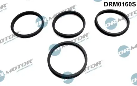 Комплект резиновых прокладок. DR MOTOR DRM0160S (фото 1)