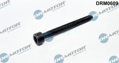 Болт с фигурной головкой DR MOTOR DRM0609