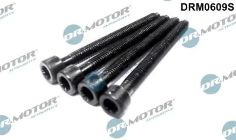 Комплект болтів двигуна з фігурною головкою DR MOTOR DRM0609S (фото 1)