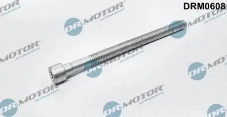 Болт з фігурною головкою DR MOTOR DRM0608 (фото 1)