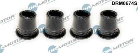 Кільце гумове DR MOTOR DRM0674S
