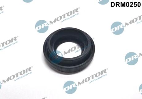 Кільце гумове DR MOTOR DRM0250