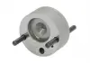 Елемент форсунки Common Rail ENT2501651