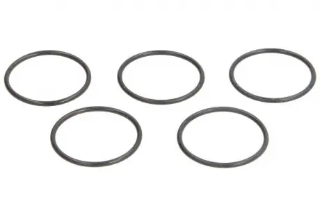 Елемент форсунки Common Rail ENGITECH ENT250131
