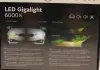 Лампа светодиодная LED Gigalight PGJ19 (H8) 12 V 30 W Duobox cool BOSCH 1987301558 (фото 7)