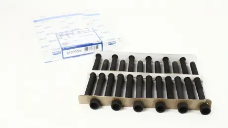 Болты головки блока T5 2.5TDI (12 шт.) -09 AJUSA 81039000