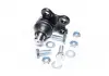 Опора шаровая RENAULT KANGOO 08- RIDER RD.993533816 (фото 1)
