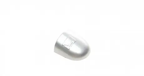 Заглушка ручки дверей (R) Renault Laguna/Megane/Scenic 03-09 (сіра) ROTWEISS RWS1969