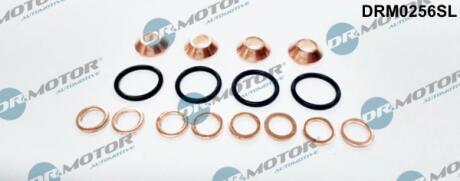 Комплект прокладок з різних матеріалів DR MOTOR DRM0256SL