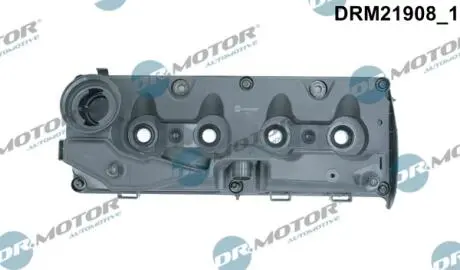 Кришка головки блоку циліндрів ДВЗ DR MOTOR DRM21908 (фото 1)