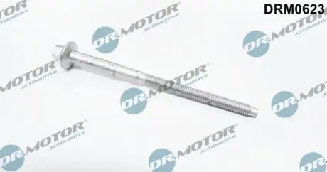 Болт с фигурной головкой DR MOTOR DRM0623