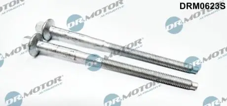Комплект болтов двигателя с фигурной головкой DR MOTOR DRM0623S
