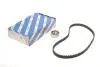 РМК ГРМ Z=96 RENAULT/NISSAN Logan/Clio/Sandero/Kango/Megane/Kubistar \'\'1,4-1,6 \'\'99-08 1987946544