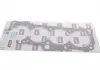 Прокладка головки блока VW Golf (91-97)/Audi A6 (94-97)/Seat Toledo (91-99) (110 11030148401