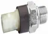 Датчик давления масла 6ZL003259401