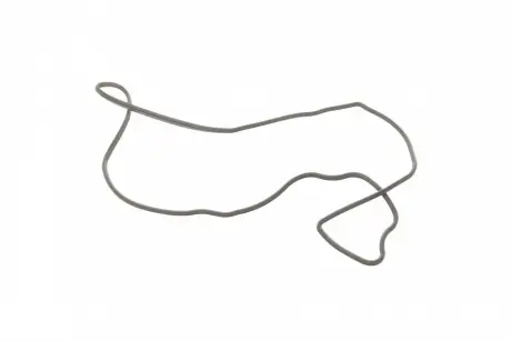 Прокладка насосу масляного ELRING 571.760