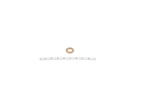 Шайба под форсунку Lynx 2,5mm 3 Noses Vdo X11-800-002-003Z