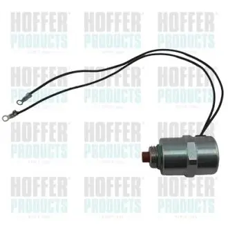 Клапан обтравочный топливного насоса Hoffer 8029030