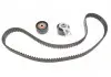 Комплект ГРМ 141z PSA DV6 Euro5 1635067180