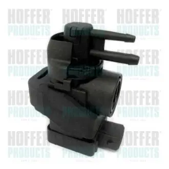 Клапан управления давлением Hoffer 8029227