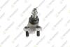 TEKNOROT TOYOTA Шаровая опора нижн.прав.Camry 01-,Previa,Lexus RX 300/400 03- T-185