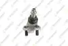 TEKNOROT TOYOTA Шаровая опора нижн.прав.Camry 01-,Previa,Lexus RX 300/400 03- T-185