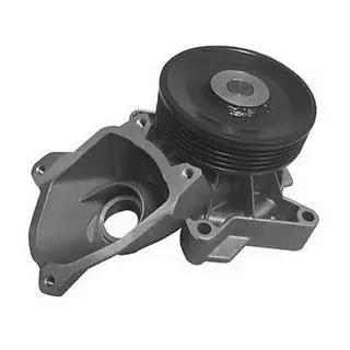 ROVER Помпа воды LandRover,75 2.0d 99- (5-ручейковый.шкив) MAGNETI MARELLI WPQ0058