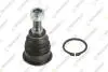 TEKNOROT BMW Шаровая опора передн.внутренняя Mini Cooper,One,Clubman 06- MN-130