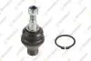 TEKNOROT TOYOTA Шаровая опора нижн.лев./прав.Fortuner 04-,Hilux III 06- T-254