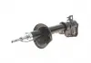 Амортизатор (задній) Land Rover Freelander 98-06 (L) (7106GL) 357106070200
