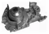 Помпа воды RENAULT Clio,Kangoo [352316170999] MAGNETI MARELLI WPQ0999 (фото 1)