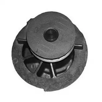 Насос MAGNETI MARELLI 352316170875