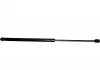 Газовый амортизатор RENAULT SAFRANE -00 JP GROUP 4381202700 (фото 1)