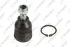 TEKNOROT MAZDA Шаровая опора верхняя Mazda 6 02- MA-704