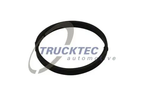 Прокладка колектора випускного Trucktec automotive 02.14.175