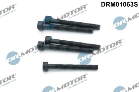 Комплект болтів двигуна з фігурною головкою DR MOTOR DRM01063S