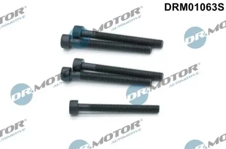 Комплект болтів двигуна з фігурною головкою DR MOTOR DRM01063S (фото 1)