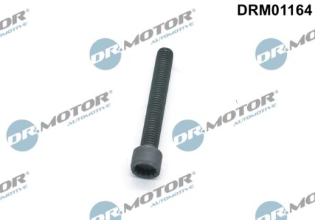 Болт з фігурною головкою DR MOTOR DRM01164