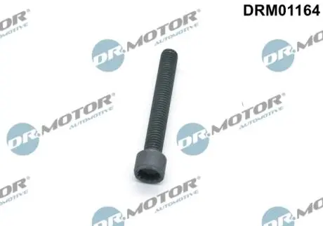 Болт з фігурною головкою DR MOTOR DRM01164 (фото 1)