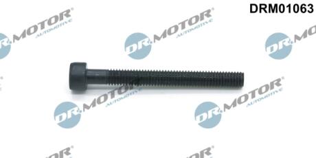 Болт з фігурною головкою DR MOTOR DRM01063